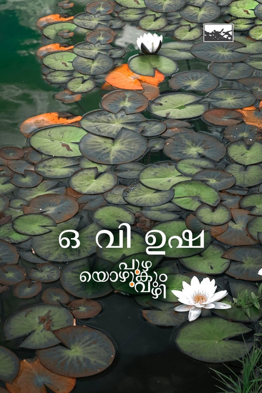 Puzhayozhukum Vazhi