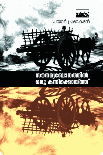 SoundaryaBodhathil Oru KanniKoith